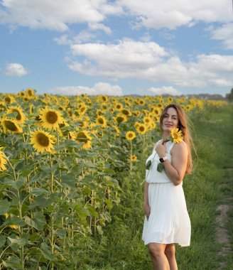 Ukrayna konsepti. Barış sembolü. Beyaz gömlekli, uzun saçlı, güzel ve mutlu bir beyaz kız mavi gökyüzüne karşı sarı ayçiçeği tarlasında duruyor..
