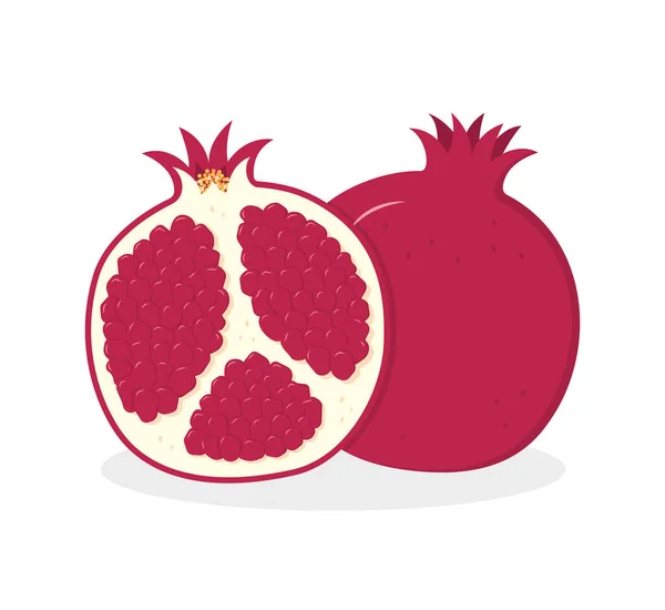 Ripe pomegranate whole and half. Vector illustration in a flat style