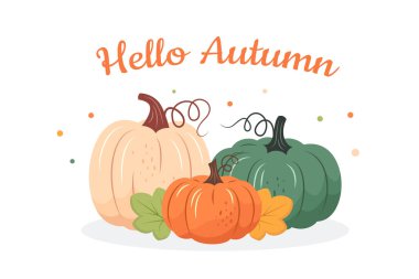 Renkli balkabakları tasarlandı. Düz biçimli vektör illüstrasyonu.