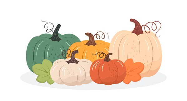 Colorful Pumpkins Fall Design Vector Illustration Flat Style — Stock Vector