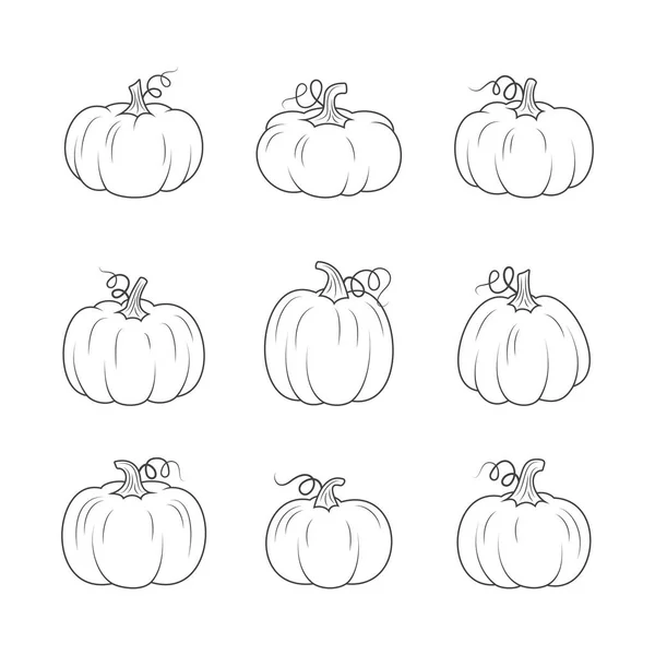 Line Pumpkins Set Fall Design Vector Line Illustration White Background — Stock Vector
