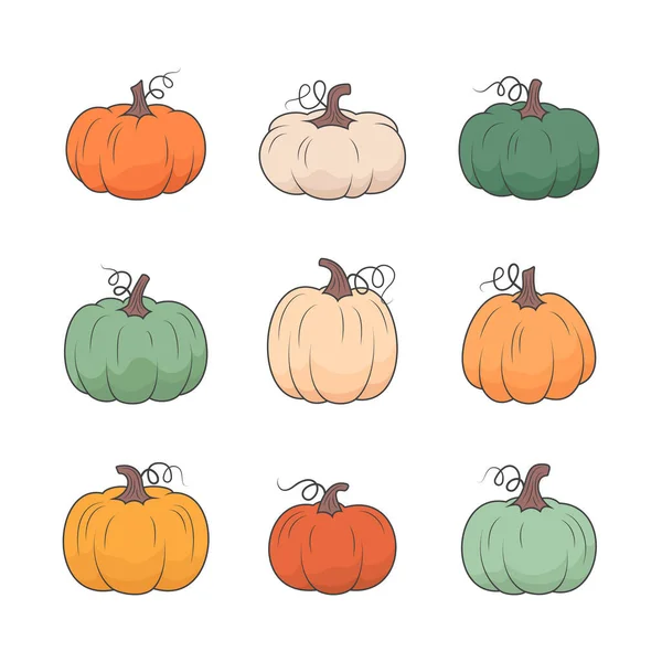 Colorful Pumpkins Set Fall Design Vector Line Illustration White Background — Stock Vector