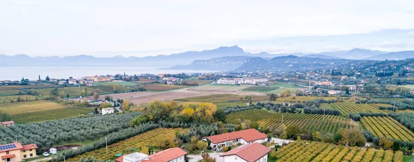 Вид Воздуха Поля Виноградников Озере Гарда Италия — стоковое фото
