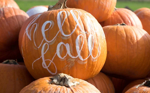 Halloween Pumpkins Displayed Outdoor Traditions Vacations Theme — Foto de Stock