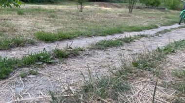 Bisikletli bisikletçi. Çocuk parkta pedal çeviriyor. Yüksek kalite 4k görüntü