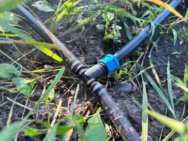 Siyah, uzun boru yalanları ve kazılmış toprağa yakın çekim yapan golf sopası adaptörü. Yüksek kalite fotoğraf