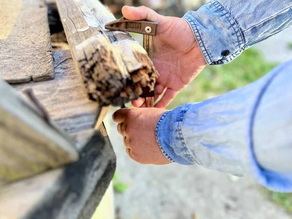 Marangoz ahşap kalasları ölçüyor. Yüksek kalite fotoğraf