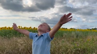Çocuk ellerini mavi gökyüzüne doğru çekiyor. Çocuk kavramı mutlu aile. Oğlu mavi gökyüzüne karşı ellerini yana koyuyor, yaşam tarzı. Yüksek kalite 4k görüntü