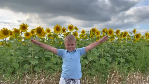 快乐而轻松的男孩呼吸着新鲜空气 在夏日里 他把双手举过蓝色的天空 在一个开着向日葵的田野里 梦想着自由和旅行的理念 高质量的4K镜头 — 图库视频影像