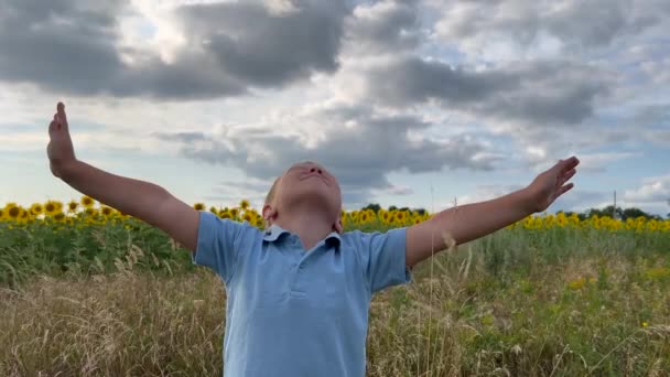 Mutlu Rahat Bir Çocuk Yazın Mavi Gökyüzü Üzerinde Temiz Hava — Stok video
