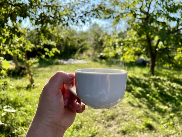 Female hand with a cup of coffee, tea close-up. Morning beatiful garden background, morning concept. High quality photo