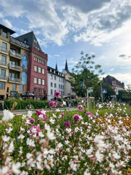 Avrupa 'da renkli binaların önündeki bahçe yatağında büyüyen renkli çiçekler.
