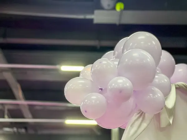 Bir olay yerinde dekoratif bir küme oluşturan açık mor balonlar biraz zarafet ve şenlik katıyor.