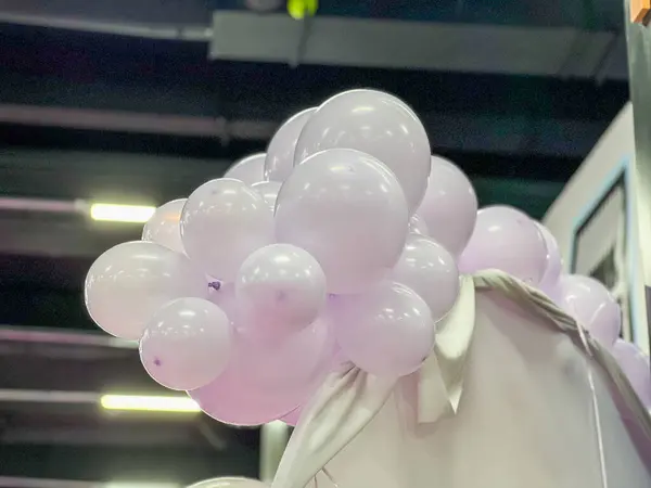 Bir grup açık mor balonla bir parti salonunu dekore etmek bir kemer oluşturur.