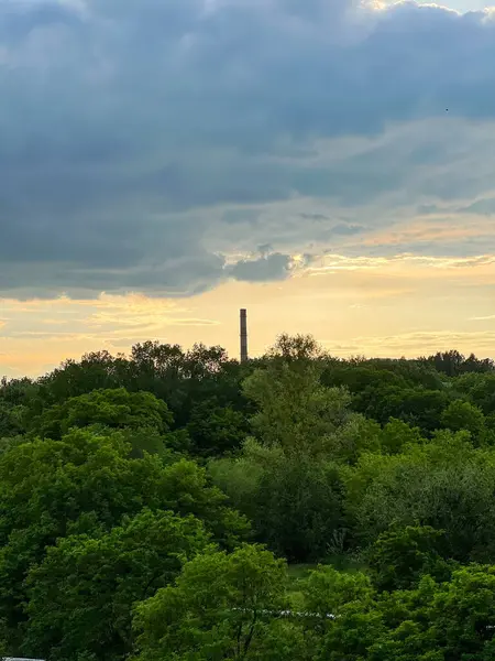Endüstriyel baca, bulutlu bir günbatımı gökyüzünün altında canlı yeşil bir ormanın üzerinde yükselir.