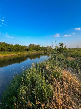Berrak mavi gökyüzünün altında canlı yeşil bir arazide akan sakin bir nehir, pitoresk bir doğal manzara yaratıyor.