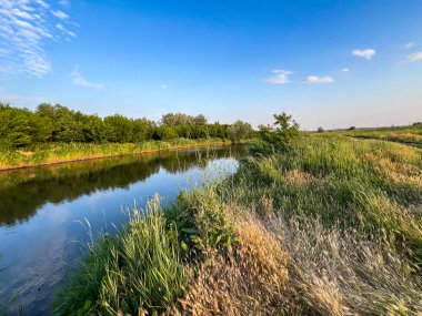 Ağaçları yansıtan bir kanalın kıyılarında büyüyen yemyeşil çimenler yaz gökyüzünün altında