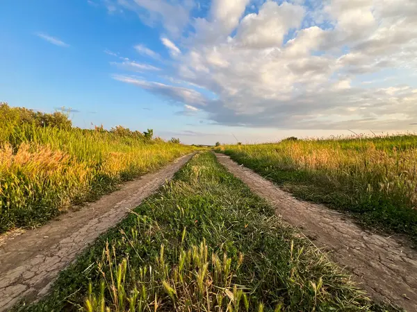 Parlak bir günbatımı sırasında bulutlu bir gökyüzünün altında çimenli tarlalarda uzanan toprak yol sakin bir kırsal alan yaratıyor.