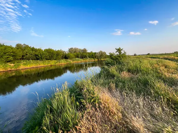 Ağaçları yansıtan bir kanalın kıyılarında büyüyen yemyeşil çimenler yaz gökyüzünün altında
