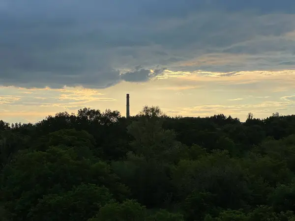 Güzel bir günbatımı gökyüzünün sıcak renklerine karşı silueti olan yoğun bir ormanın üzerinde yalnız endüstriyel baca yükselir.