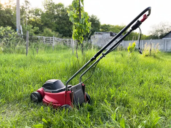Elektrikli çim biçme makinesi Yazın bahçede çim biçer