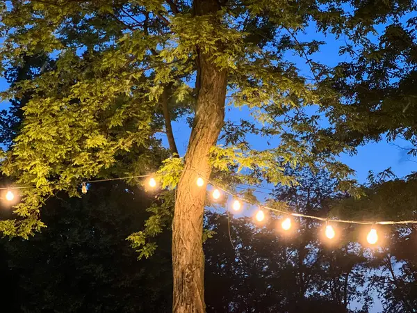 Sıcak sicim ışıkları, alacakaranlık gökyüzünün arka planına karşı sihirli bir ortam yaratır.