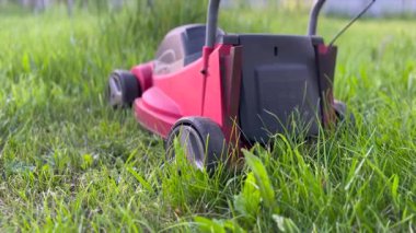 Bahçedeki yeşil çimlerin üzerinde kırmızı çim biçme makinesi