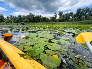 Bulutlu bir günde nehirde ya da gölde su nilüferlerinde kürek çeken kano.