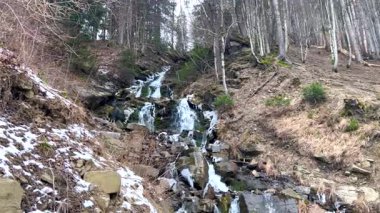 Karlı dağ ormanlarında çağlayan şelale