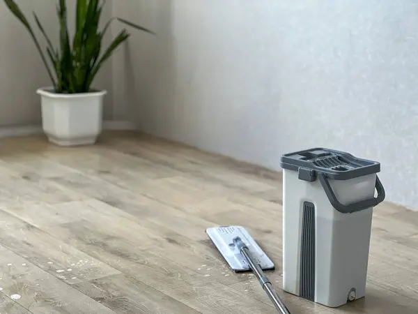 Modern temizlik ekipmanları arka planda saksı bitkisiyle lamine zemin üzerinde duruyor.