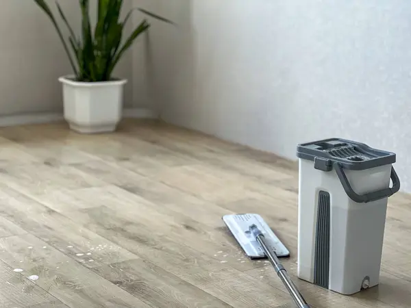 Beyaz duvarın yanında ıslak lamine zeminde duran paspas ve kova ve temizlik sırasında saksı bitkisi.