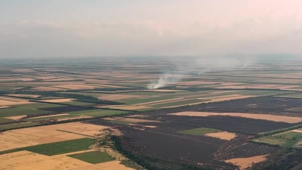 Спалювання Полів Херсонської Області 2022 Року Війна Україні Кадри Високої — стокове відео