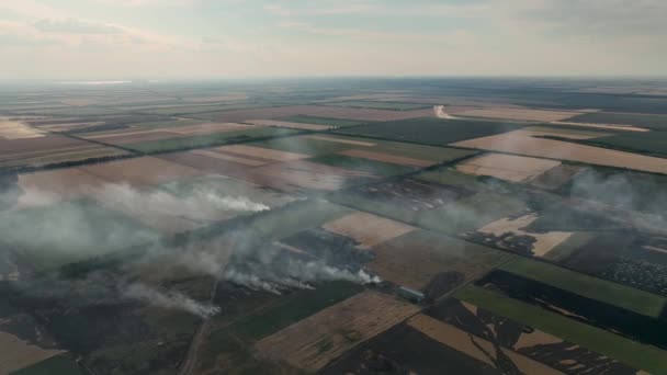 Burning Fields Kherson Region 2022 Perang Ukraina Rekaman Berkualitas Tinggi — Stok Video