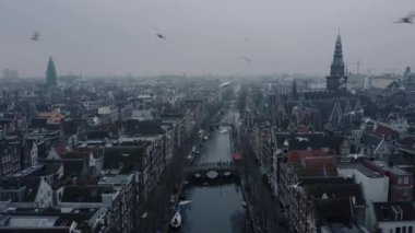 Amsterdam 'ın üzerinde gökyüzünde uçan video kuşları