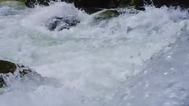 Hermoso Río Montaña Que Fluye Rápido Cámara Lenta Vídeo Relajante — Vídeos de Stock