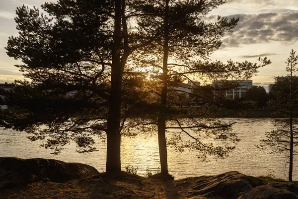 Rovaniemi Finlandiya 'da güzel güneşli şehir gün batımı. Laponya 'da kutup günü. Nehir manzarası ve yerleşim alanı. Orman ağaçları. Kuzeye gidiyor. Şehir. Suyun üzerindeki güneşin parlaklığı. 