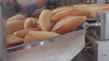 Bir Türk fırıncı, küçük bir işletme fırınındaki taze ekmeği kaldırarak otantik ortamlarda gerçek hayat sanatçısı pişirme eğilimini yansıtıyor. 