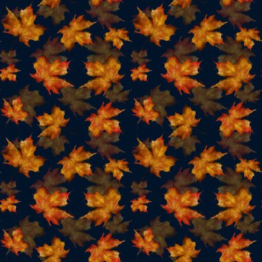 Kelime sonbaharıyla kusursuz desenler. sonbahar sonbahar arkaplanı