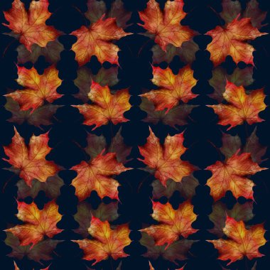 Kelime sonbaharıyla kusursuz desenler. sonbahar sonbahar arkaplanı