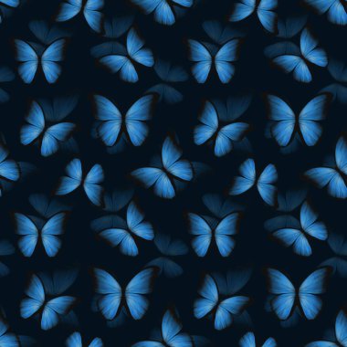 Karanlık bir arka planda büyüleyici bir mavi kelebek deseni doğanın güzelliğini arttırıyor.