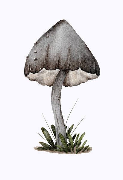 A delicate watercolor painting of a mushroom growing in a grassy area