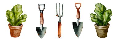 Çeşit çeşit bahçe aletleri saksı bitkileriyle sergileniyor, ev bahçıvanlığı için ideal bir ortam sunuluyor.