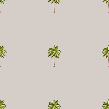 Bu desen, yumuşak bir arkaplan karşısında suluboya tarzında canlı palmiye ağaçları gösterir, kağıt sarmak için idealdir.