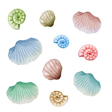 Various seashells of different colors and shapes are displayed against a plain white background. clipart