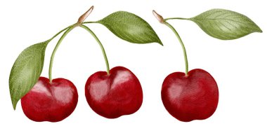 Parlak kırmızı derili ve yeşil yapraklı sulu kirazlar özenle arka planda sergilenir..