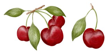 Yeşillik yapraklı taze kiraz kümeleri canlı renkler ve doğal güzellikler sergiler, her ayar için mükemmeldir..