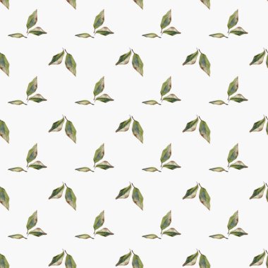 Bu tasarım kumaş, duvar kâğıdı ve hediye paketi için kusursuz bir manolya suluboya deseni içerir..