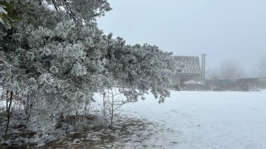 Frosted trees stand silently in a snowy winter landscape, featuring a charming rustic building shrouded in mist. clipart