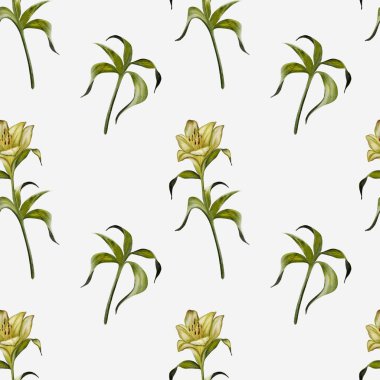 Narin suluboya zambaklar kumaş, duvar kağıdı ve hediye paketi için kusursuz bir desen oluşturur..