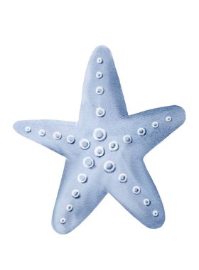 A delicate baby blue starfish rests calmly against a soft, fluid background that evokes a tranquil marine environment. clipart